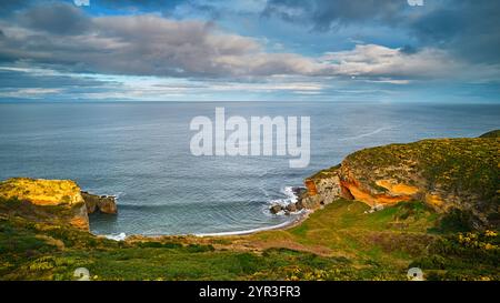 Hopeman Moray Coast Scotland eine kleine Bucht, ruhiges Meer und gelbe Ginsterblüten auf sonnendurchfluteten Klippen Stockfoto