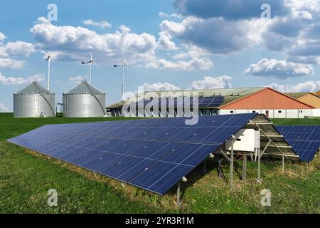 Moderne landwirtschaftliche Betriebe mit erneuerbaren Energien. Sonnenkollektoren mit Silos im Hintergrund. Stockfoto