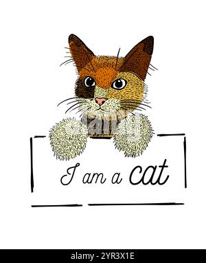 Eine Katze mit einem Schild in der Hand. Handzeichnung. Nicht AI, Vektorillustration. Stock Vektor