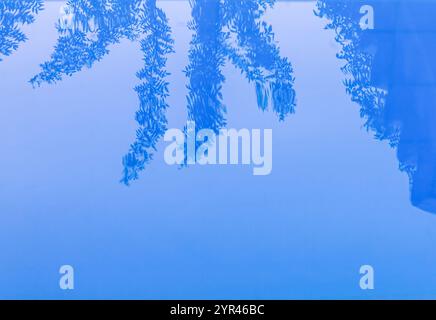 Die Nahaufnahme der Oberfläche eines Schwimmbades unterstreicht das Zusammenspiel von Licht und Wasser. Das helle Aqua-Blau wird durch den natürlichen Rippeleffekt betont Stockfoto