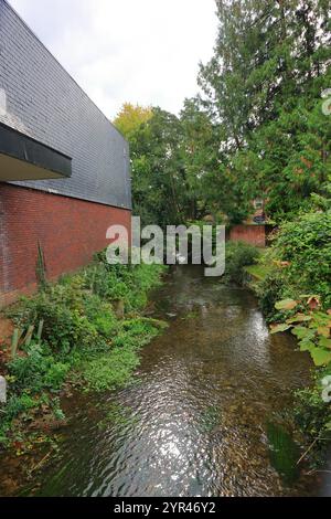 Wimborne Minster, Dorset, England. 4. Oktober 2024. Farbblick auf den Fluss Allen, umgeben von Bäumen und Gebäuden. Stockfoto