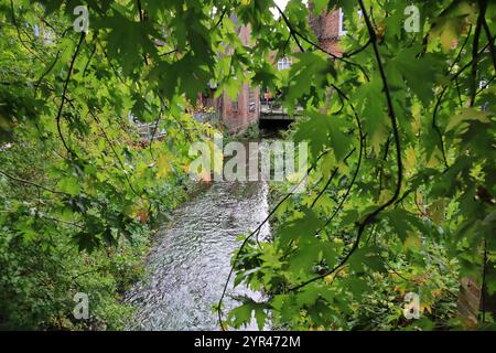 Wimborne Minster, Dorset, England. 4. Oktober 2024. Ein landschaftlicher Blick auf den Fluss Allen, der unter der Ostseite der Stadt verläuft. Stockfoto