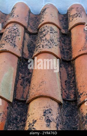 Ein detaillierter Blick auf ein Dach mit Keramikfliesen, das sein traditionelles ineinander greifendes Muster zeigt. Die geschwungenen Terrakottafliesen bilden eine einheitliche, aber rustikale Textur. Stockfoto