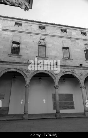 Der Salina Palace ist ein 1538 erbautes Gebäude im plateresken Stil mit italienischen Elementen in Salamanca, Spanien. Stockfoto