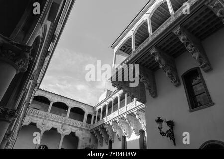 Der Salina Palace ist ein 1538 erbautes Gebäude im plateresken Stil mit italienischen Elementen in Salamanca, Spanien. Stockfoto