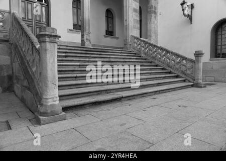 Der Salina Palace ist ein 1538 erbautes Gebäude im plateresken Stil mit italienischen Elementen in Salamanca, Spanien. Stockfoto