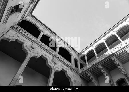 Der Salina Palace ist ein 1538 erbautes Gebäude im plateresken Stil mit italienischen Elementen in Salamanca, Spanien. Stockfoto