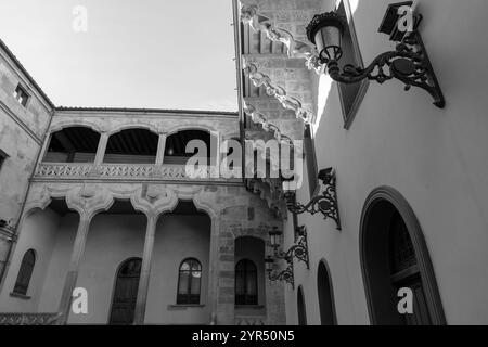 Der Salina Palace ist ein 1538 erbautes Gebäude im plateresken Stil mit italienischen Elementen in Salamanca, Spanien. Stockfoto