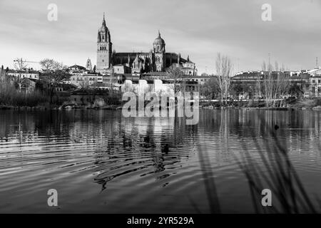 Die Neue Kathedrale, Catedral Nueva, ist eine der beiden Kathedralen von Salamanca. Zwischen dem 16. Und 18. Jahrhundert im gotischen und barocken Stil erbaut Stockfoto