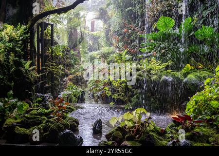 Singapur - 27. Juni 2024: Cloud Forest Wasserfall und üppiger tropischer Garten, Gärten an der Bucht, touristische Urlaubsreiseziel Stockfoto