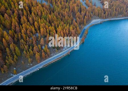 Blick aus der Vogelperspektive auf den Sils-See und seine Küstenstraße im Herbst. Sils im Engadin/Segl, Engadin, Schweiz, Kanton Graubünden. Stockfoto