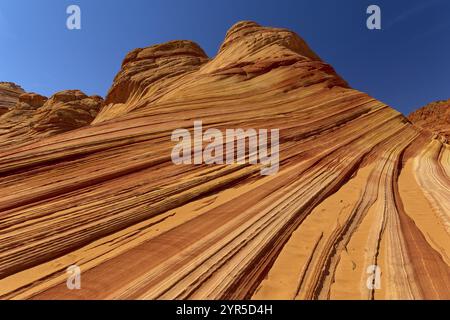 The Wave, beeindruckende Sandsteinformation mit wellenartigen Mustern in verschiedenen Rot- und Orangetönen, The Wave, Coyote Buttes, Arizona, USA, Nord-Ame Stockfoto