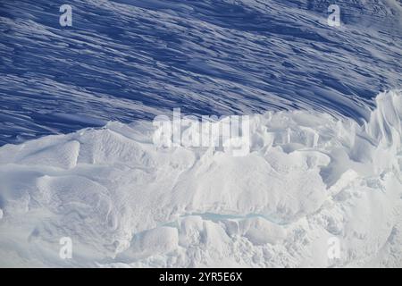 Nahaufnahme eines Schneesimpfes, Gemmipass, Plattenhoerner, Leukerbad, Leuk, Wallis, Schweiz, Europa Stockfoto