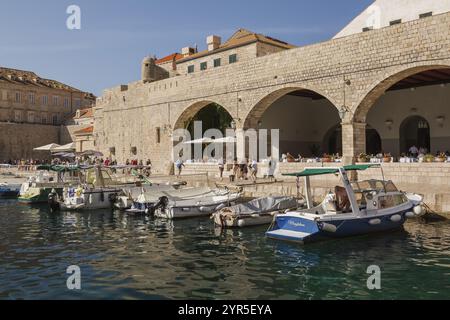 Boote im Hafen und Touristen, die auf der Promenade in der alten ummauerten Stadt Dubrovnik, Kroatien, Europa laufen Stockfoto