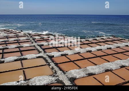 Regelmäßige Anordnung von Salzfeldern in Orange in der Nähe des blauen Meeres unter klarem Himmel, Salzflächen, Fuencialente, La Palma, Kanarische Inseln, Spanien, Europa Stockfoto