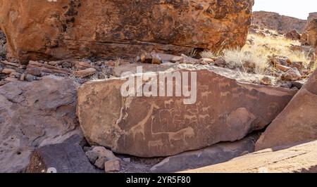 Darstellungen von Tieren auf einer Felsplatte, Löwenplatte, Petroglyphen, Felsgravuren, Twyfelfontain, Kunene, Namibia, Afrika Stockfoto