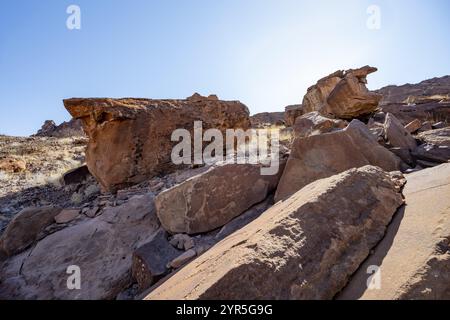 Darstellungen von Tieren auf einer Felsplatte, Löwenplatte, Petroglyphen, Felsgravuren, Twyfelfontain, Kunene, Namibia, Afrika Stockfoto