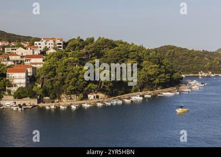 Hoher Blick auf die Häuser und Villen mit braunen und weißen Zierelementen und traditionellen Terrakottafliesen auf den Hügeln und die angedockten Boote auf der Halbinsel Lapad Stockfoto