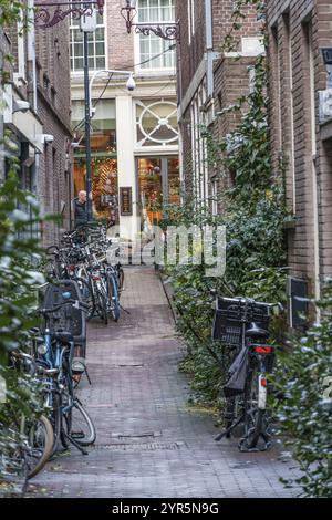 Geschäftige, enge Gasse mit geparkten Fahrrädern und bewachsenen Pflanzen vor den Geschäften, Amsterdam, Niederlande Stockfoto