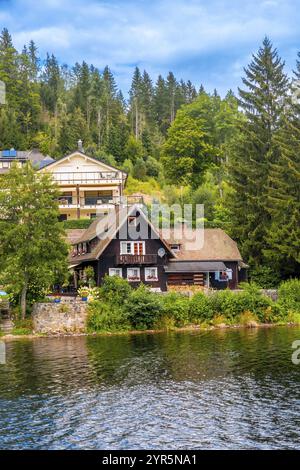 Wunderschöne Häuser am Seeufer vom Boot auf dem Titisee im Schwarzwald, Deutschland, Europa Stockfoto