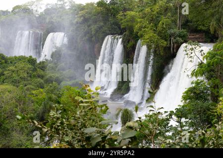 Iguazu Falls Argentinien Seite, mehrere Wasserfälle Natur Landschaft, Argentinien Landschaft, Argentinien Südamerika Reisen Stockfoto