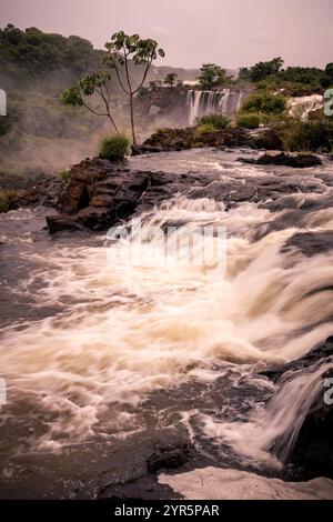 Iguazu Falls Argentinien Seite, mehrere Wasserfälle Natur Landschaft, Argentinien Landschaft, Argentinien Südamerika Reisen Stockfoto