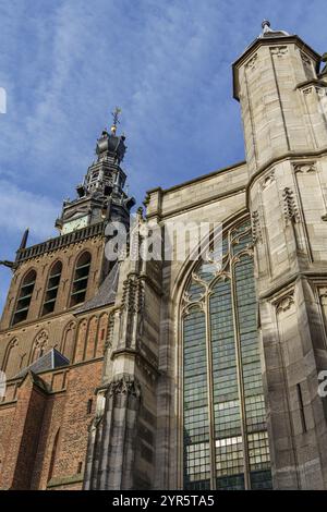 Blick auf die gotische Kirche mit eindrucksvollem Kirchturm und Buntglasfenstern, faszinierende Details, nijmegen, waal, gelderland, Niederlande Stockfoto