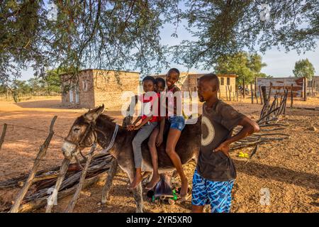 Afrika-Dorf, afrikanische Kinder, die auf dem Bauernhof auf einem Esel reiten, Vater, der das Vieh hält, ländliche Häuser im Hintergrund Stockfoto