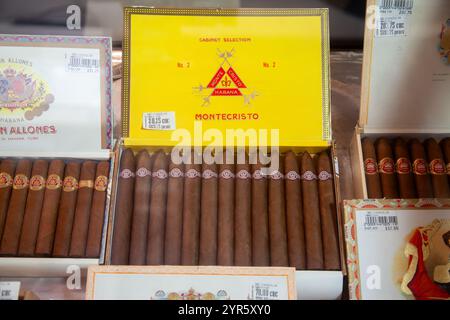 Traditionelle Montecristo Zigarren zum Verkauf in La Habana, Havanna, Kuba Stockfoto