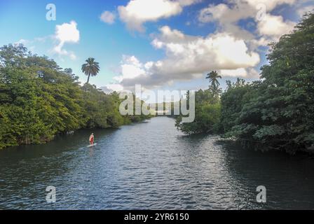 Haleiwa, Oahu, Hawaii, USA - 19. Februar 2022: Ein Mann paddelt im Anahulu River in Haleiwa an der Nordküste von Oahu Stockfoto