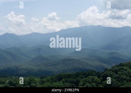 Ruhige Berglandschaft mit rollendem Nebel und üppigem Grün Stockfoto