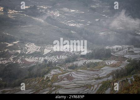 Nahaufnahme der Schichten der Reisterrassen in der Gegend von Bada Reisterrassen, China, Yunnan. UNESCO-Weltkulturerbe Stockfoto