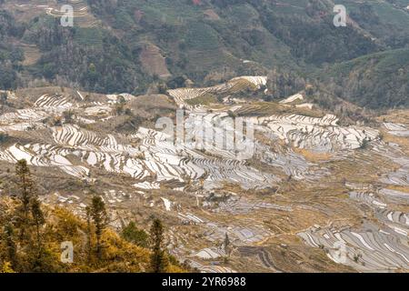 Wunderschöner Sonnenuntergang über Yuanyang Reisterrassen in Laohuzui Gegend, Yunnan, China. UNESCO-Weltkulturerbe Stockfoto