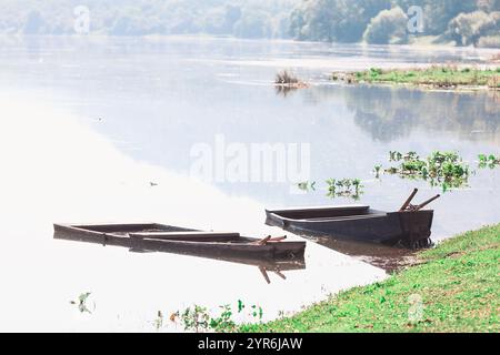 Holzboote tauchten teilweise in einem ruhigen Gewässer nahe einer grasbewachsenen Küste unter. Das Wasser ist still und spiegelt das umliegende Grün und die Bäume im wider Stockfoto