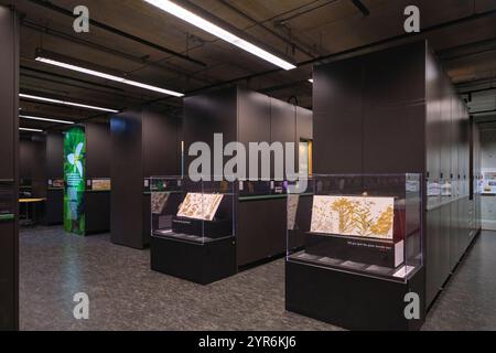 Im Beaty Biodiversity Museum der UBC in Vancouver, British Columbia, Kanada. Stockfoto