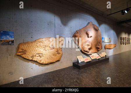 Große Felsabschnitte mit fossilen Fußspuren aus der Dinosaurierzeit. Im Beaty Biodiversity Museum der UBC in Vancouver, British Columbia, Kanada. Stockfoto