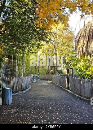 Friedlicher Parkweg, umgeben von üppigem Grün, Bambus und Palmen, mit verstreuten Herbstblättern, die eine ruhige natürliche Umgebung schaffen. Stockfoto
