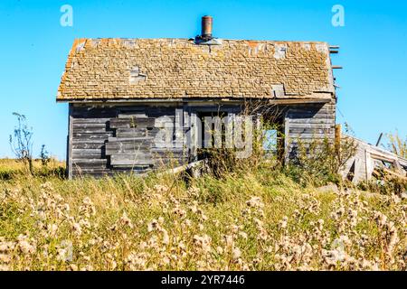 Ein kleines, altes Haus mit einem Strohdach sitzt auf einem Feld mit hohem Gras. Das Haus ist von vielen Unkraut und Wildblumen umgeben, was ihm ein wenig verleiht Stockfoto
