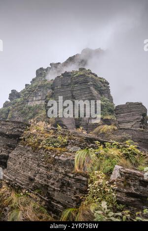 Adlerschnabel-Felsformation im Fanjing-Berg, umgeben von Wolken in Guizhou China Stockfoto