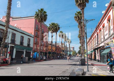 Mexiko-Stadt, MEXIKO - 18. November 2024 : Eine charmante Straße an der Plaza Garibaldi, gesäumt von hohen Palmen und bunten Gebäuden unter blauem Himmel. Garibald Stockfoto