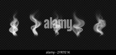 Realistischer Räucherrauch. Satz von Vektorentwurzelementen. Stock Vektor