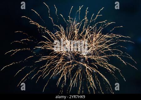 Buntes goldenes Feuerwerk am 4. Juli bei einer Feier. Foto am Abend bei einem Festival in San Antonio Texas Stockfoto