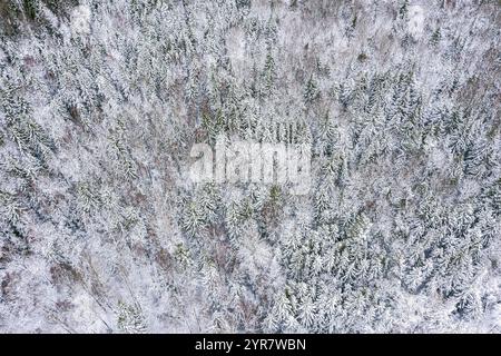 Schneebedeckte Fichtenbäume im Winterwald nach Schneefall. Winterlandschaft. Luftaufnahme von der Drohne. Stockfoto