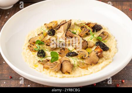 Stachelpilz-Risotto auf einer weißen Porzellanplatte, Risotto Ai funghi Stachelpilz Stockfoto