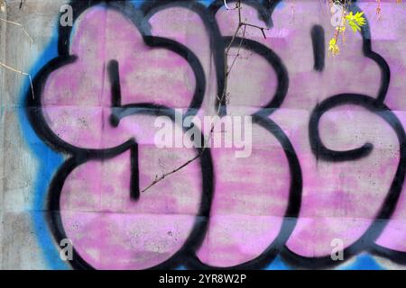 Graffiti-Wort SKGK, gezeichnet von einem Lapdog in rosa, blauen, schwarzen Buchstaben mit einer fanny-Form. Das grafische Design ist chaotisch, wenn eine Farbe gewaschen werden kann. Stockfoto
