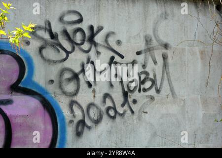 Graffiti-Wort SKGK, gezeichnet von einem Lapdog in rosa, blauen, schwarzen Buchstaben mit einer fanny-Form. Das grafische Design ist chaotisch, wenn eine Farbe gewaschen werden kann. Stockfoto