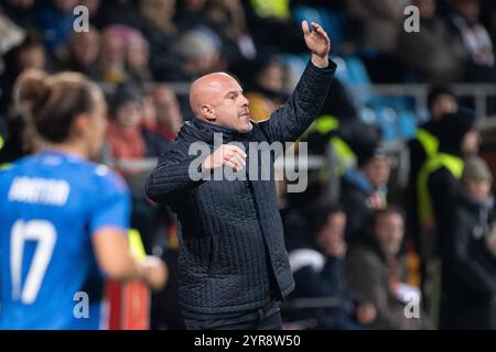 Nationaltrainer Andrea SONCIN ITA Gestik, gestikuliert, Fussball Laenderspiel der Frauen, Deutschland GER - Italien ITA 1-2, am 02.12.2024 in Bochum/Deutschland. *** Nationaltrainer Andrea SONCIN ITA Gesten, Gesten, Fußball-Nationalspiel der Frauen, Deutschland GER Italien ITA 1 2, am 02 12 2024 in Bochum Deutschland Stockfoto