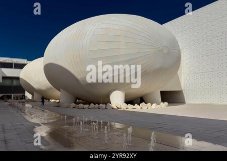 Detail einer Eiform-Struktur des Weill Cornell Medical College, Bildungsstadt Stockfoto