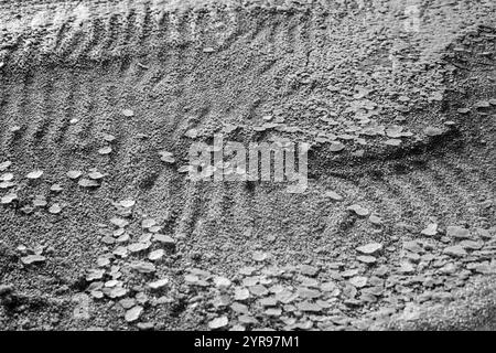 Detaillierte Ansicht einer strukturierten Oberfläche, Frostformationen und komplizierten natürlichen Mustern in Schwarzweiß. Stockfoto