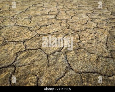Nahaufnahme der geplatzten Erde mit schweren Dürrebedingungen und Umweltauswirkungen. Die Strukturdetails verdeutlichen die Folgen des Klimawandels und die Probleme mit Wasserknappheit. Stockfoto